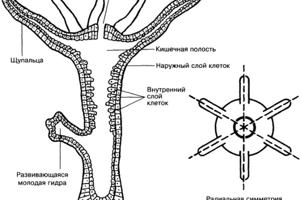 Сайт кракен россия