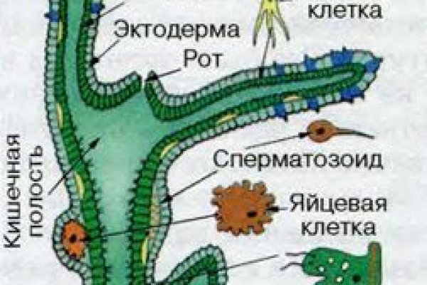 Ссылка на кракен kr2web in