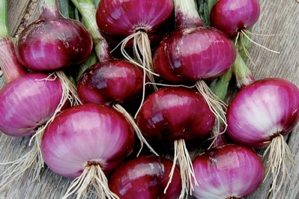 Kraken ссылка onion 2kmp