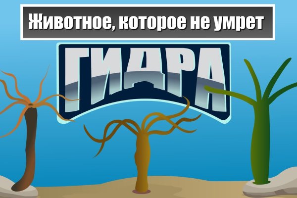 Кракен маркетплейс купить порошок